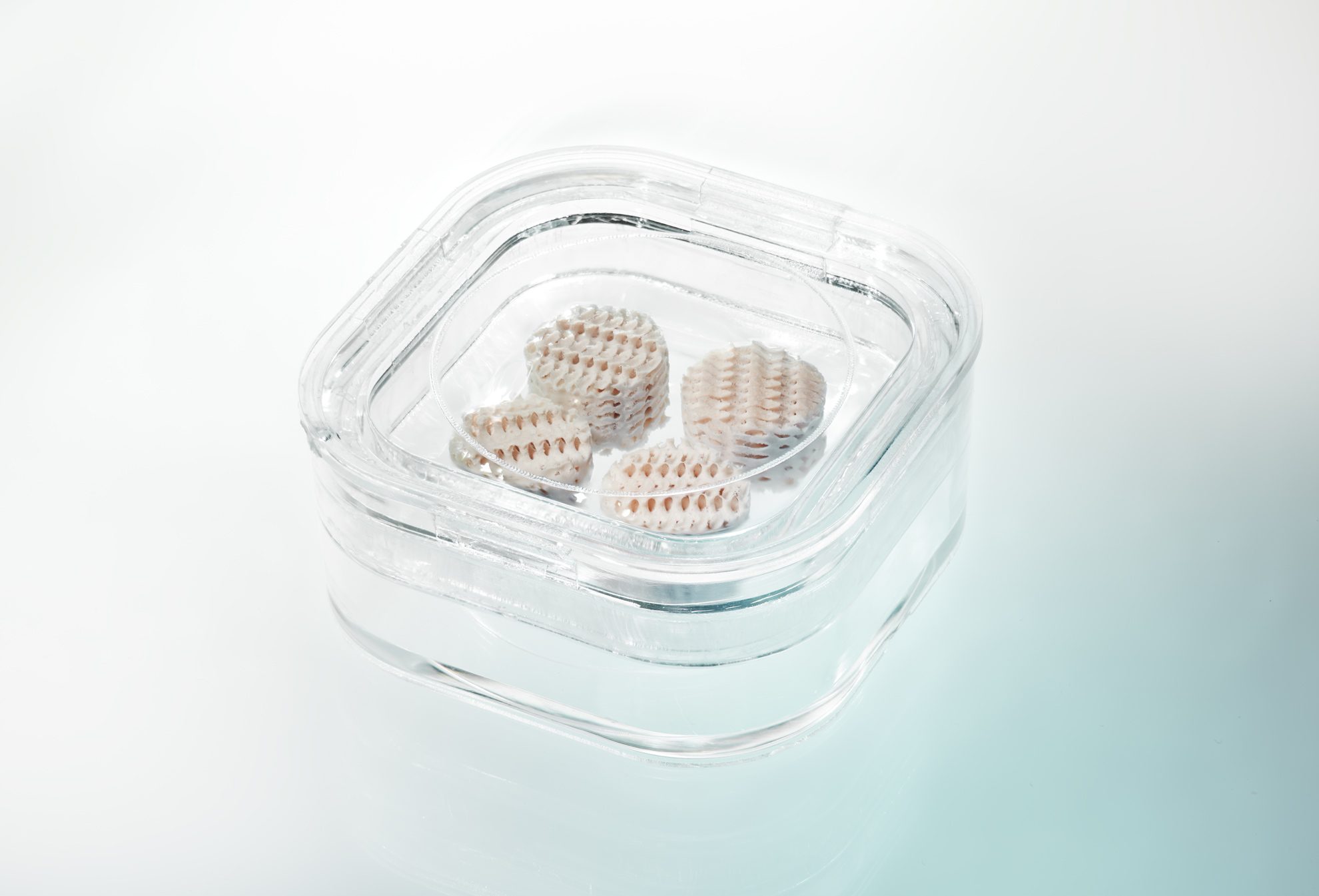 Sallea Extends Salt-Based Templating Technology to Advanced Composite ...